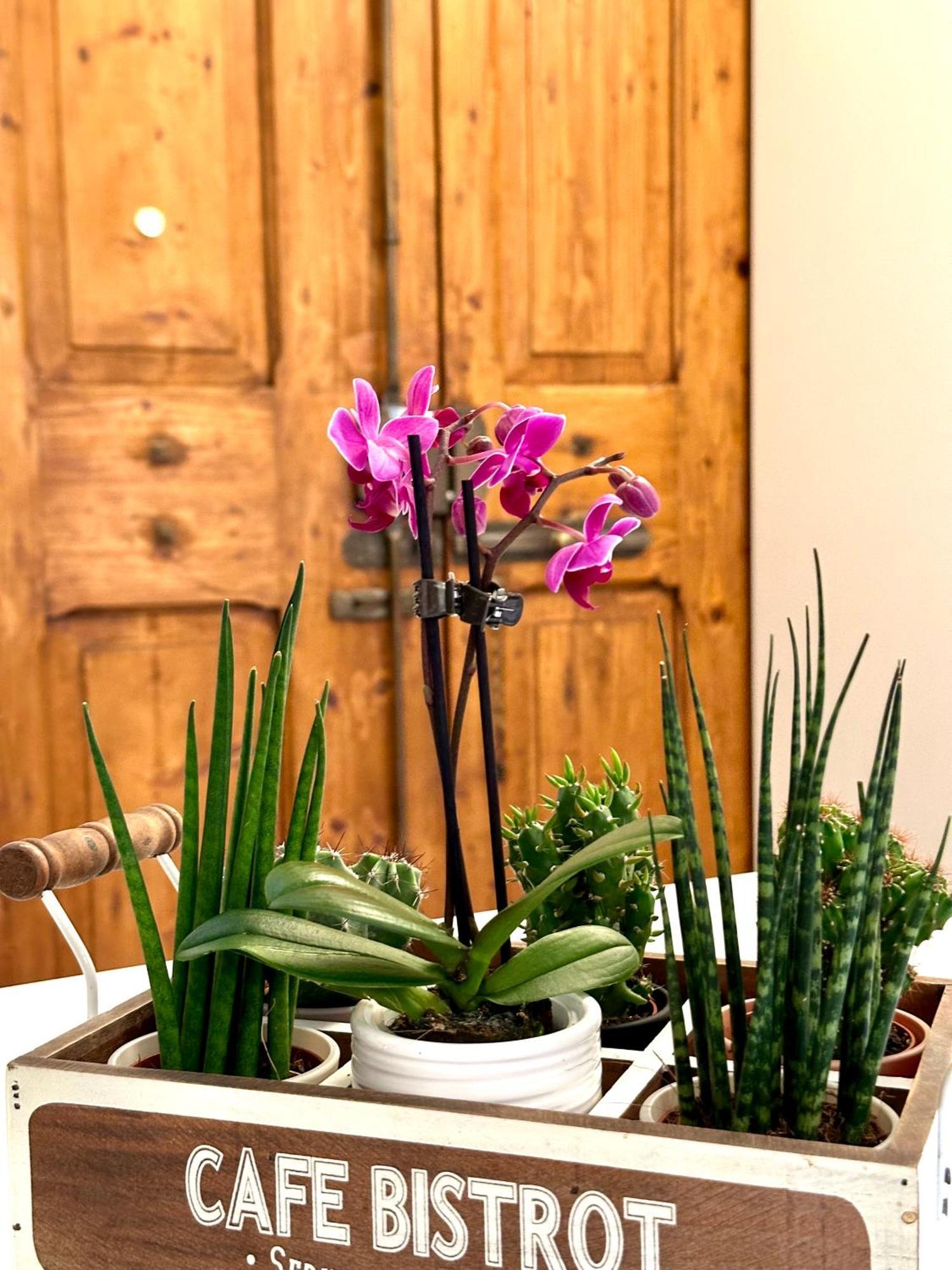 Appartamento Casa Belfiore Bologna Esterno foto